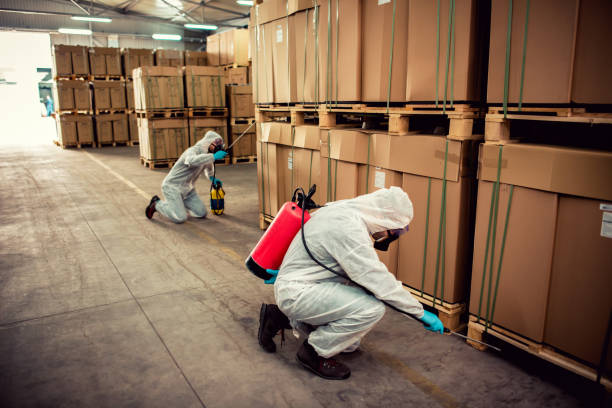 Best Pest Control for Businesses  in Shokan, NY