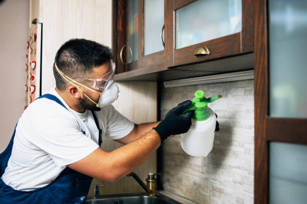Shokan, NY Pest Control Company