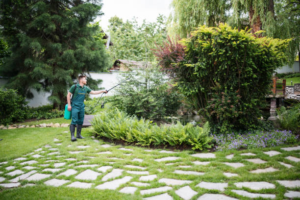 Best Wasp Removal Services  in Shokan, NY