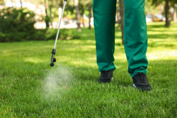 Best Pest Removal Services  in Shokan, NY
