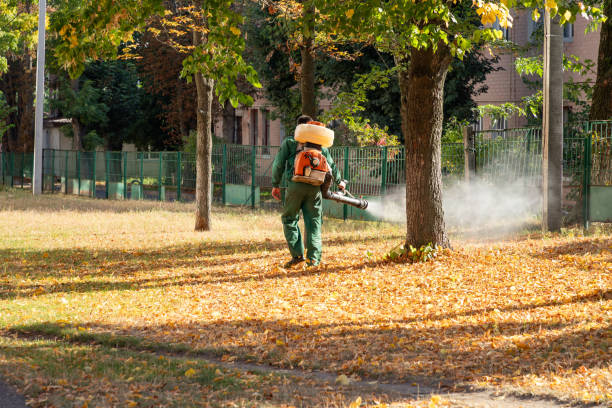 Wasp Removal Services in Shokan, NY